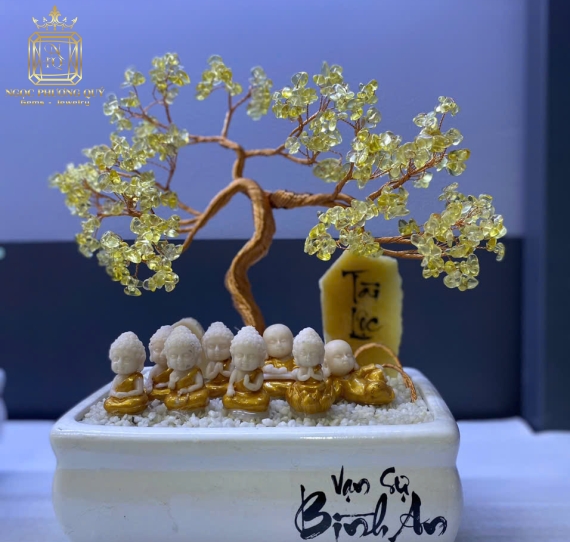 Chậu Bonsai Bình An Tài Lộc