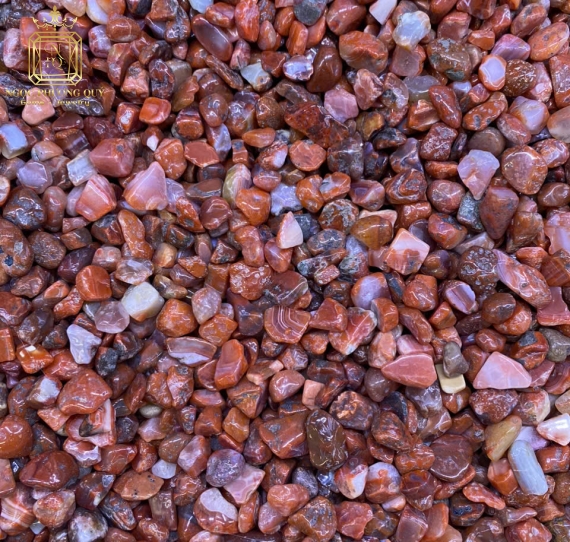 Bóng Mã Não Đỏ 