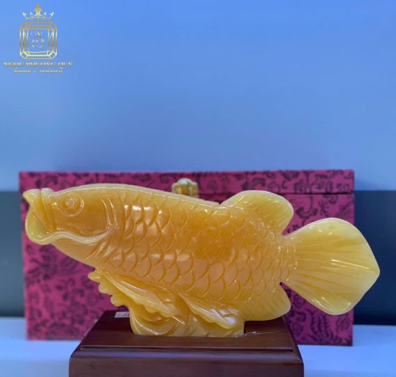 Cá rồng ngọc hoàng long ,dài 30