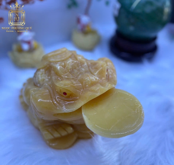 Thiềm thừ 15 ngọc hoàng long