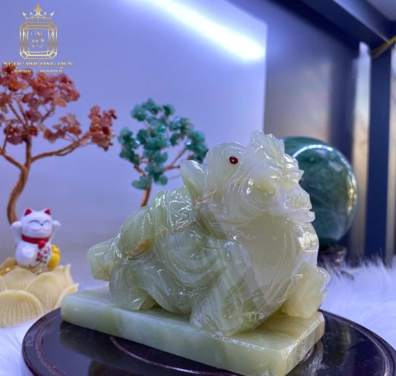 Tì hưu 10 Pakistan