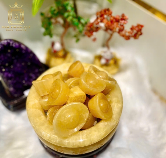 Bát tụ bảo 16 NHL