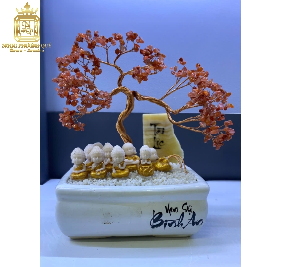Chậu Bonsai Bình An Tài Lộc