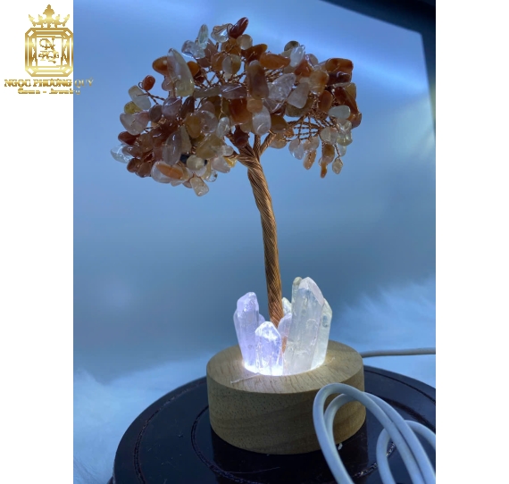 Cây tài lộc thạch anh đế đèn