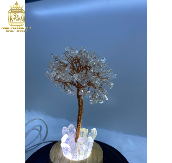 Cây tài lộc thạch anh đế đèn