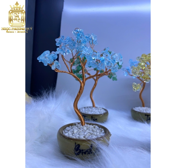 Chậu tài lộc,bình an các màu