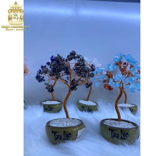 Chậu tài lộc,bình an các màu