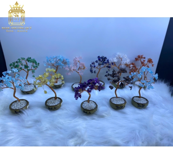 Chậu tài lộc,bình an các màu