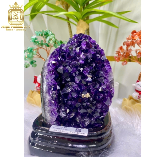 Hốc TA tím