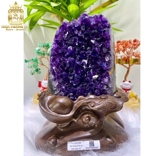 Hốc TA tím